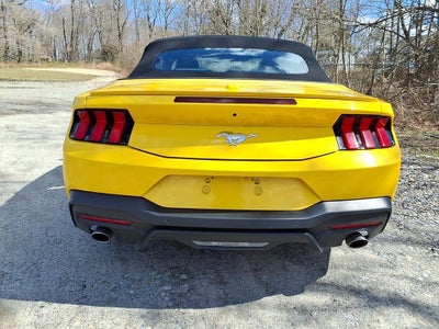 2024 Ford Mustang EcoBoost Premium