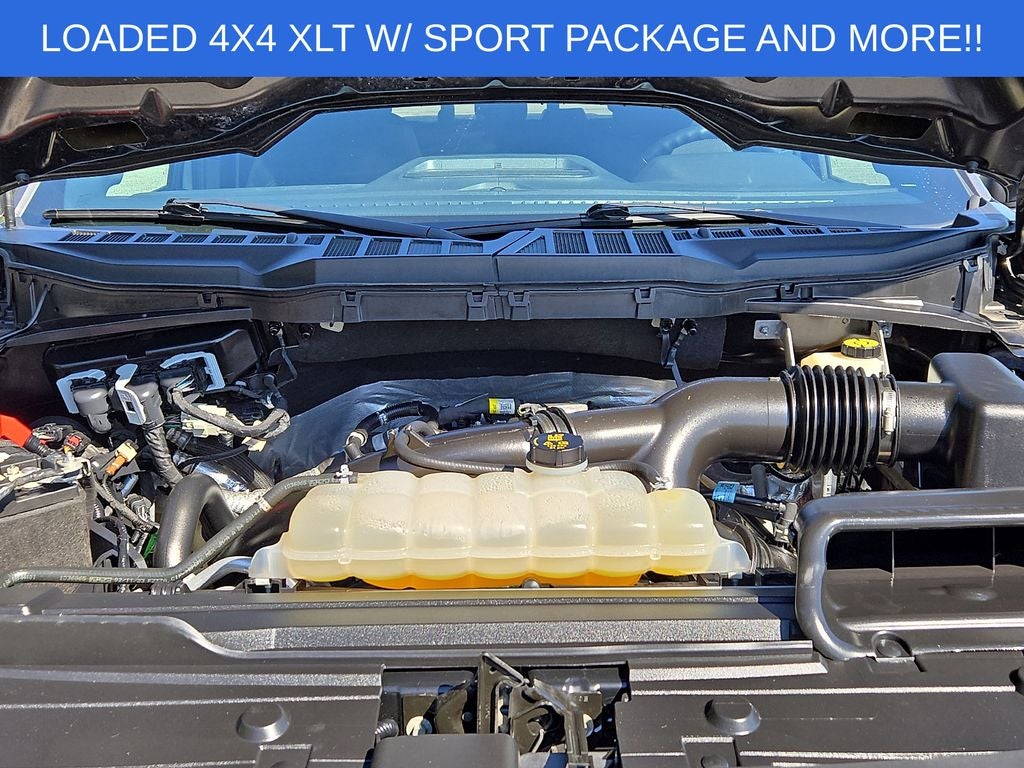 2023 Ford F-150 XLT