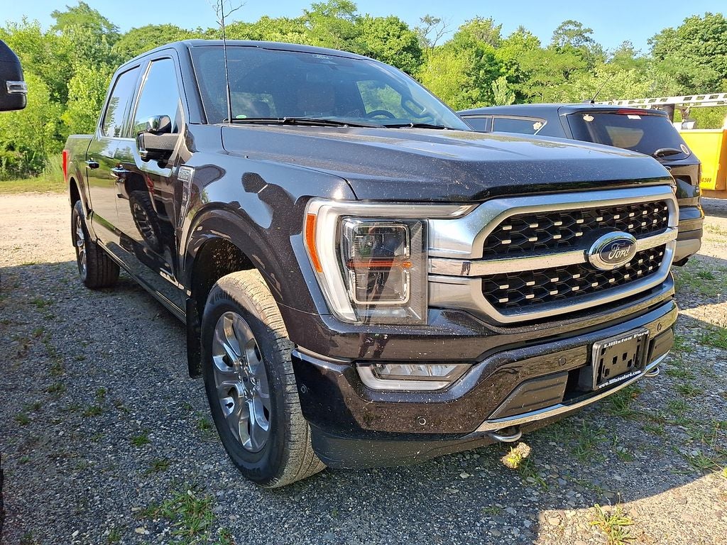 2022 Ford F-150 Platinum