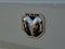 2025 RAM ProMaster 2500 Base